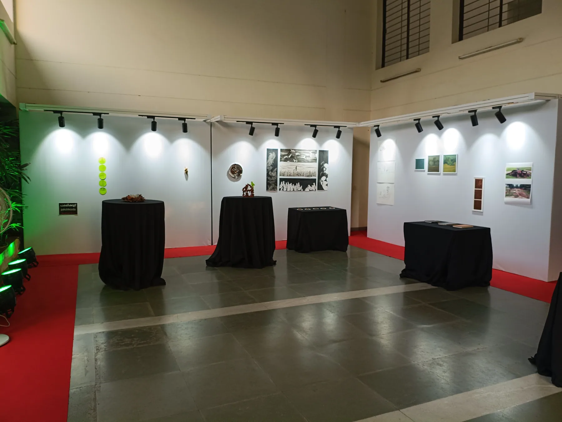 White display walls, black plinths and focused track lighting